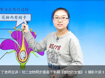 2016-2017年度初二生物同步提高下学期课程(人教版)